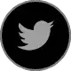 twitter logo for social links